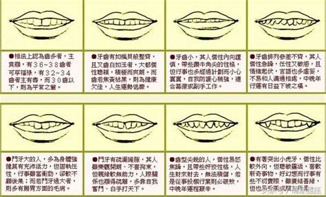 上顎突出面相|2024年你的牙齒面相代表什麼？倒及牙、哨牙⋯ 